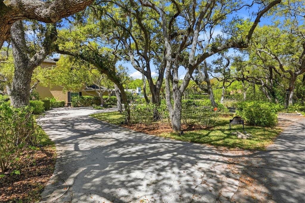 House in Largo, Florida, United States 4 - 17444539