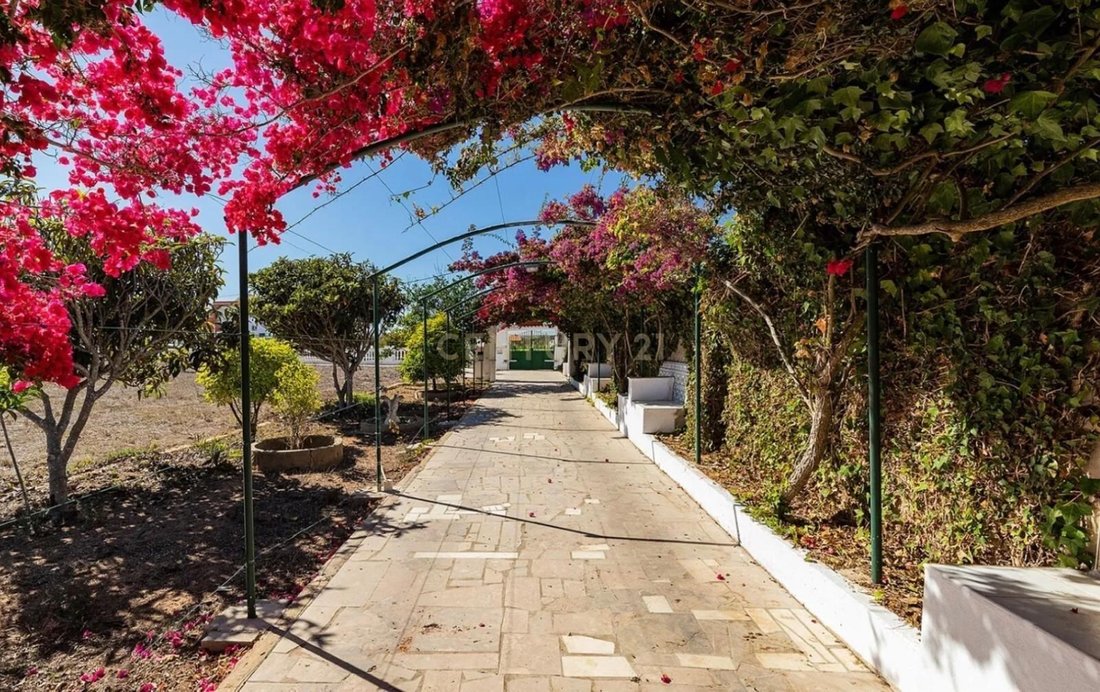 Farm Ranch in Sagres, Algarve, Portugal 2 - 17447346