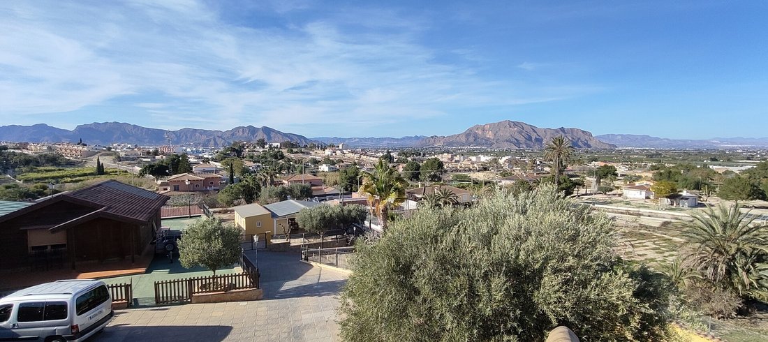 Finca in Bigastro, Valencian Community, Spain 4 - 17443614