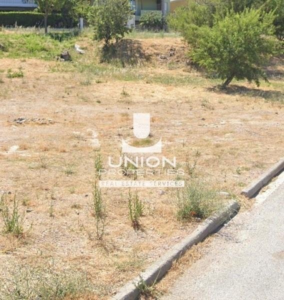 Land in Penteli, Attica, Greece 5 - 17447077