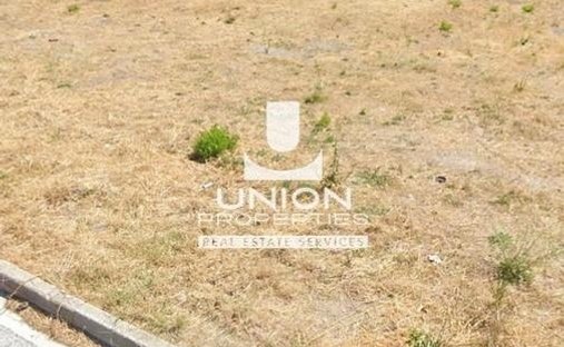 Land in Penteli, Attica, Greece 1
