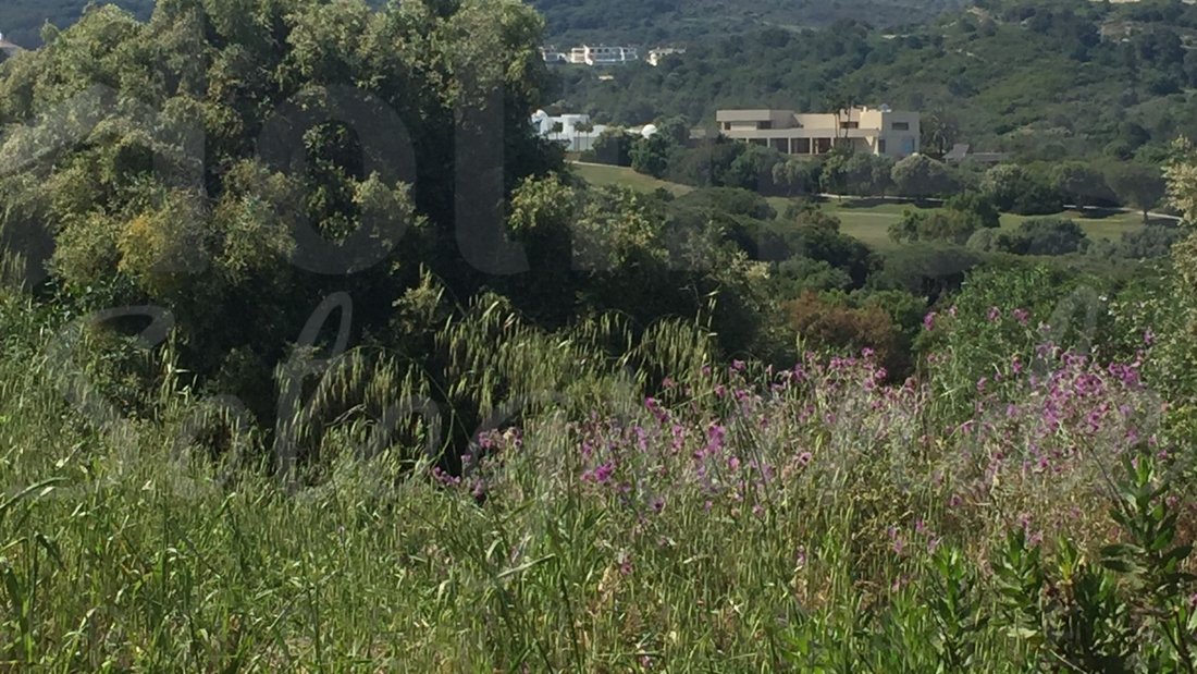 Land in Sotogrande, San Roque, Andalusia 2 - 17442608