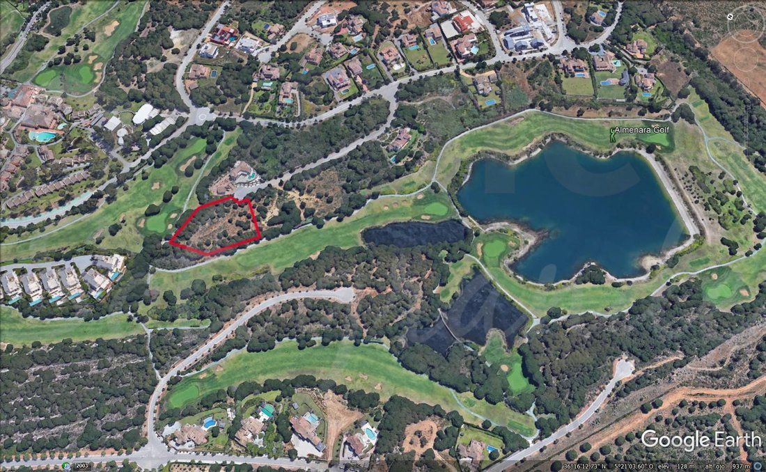 Land in Sotogrande, San Roque, Andalusia 4 - 17442811