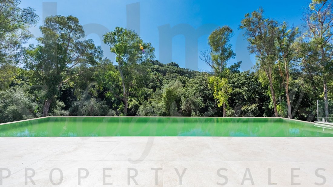 Villa in Sotogrande, San Roque, Andalusia 3 - 17443746
