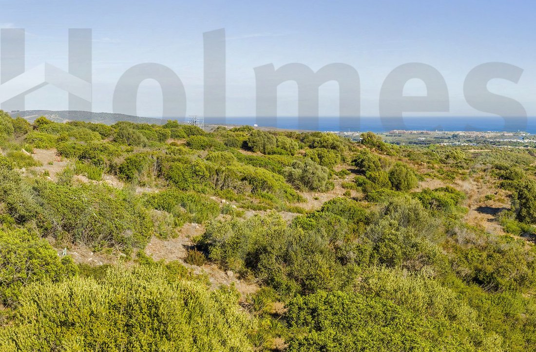 Land in Sotogrande, San Roque, Andalusia 1 - 17442302
