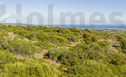 Land in Sotogrande, San Roque, Andalusia 1
