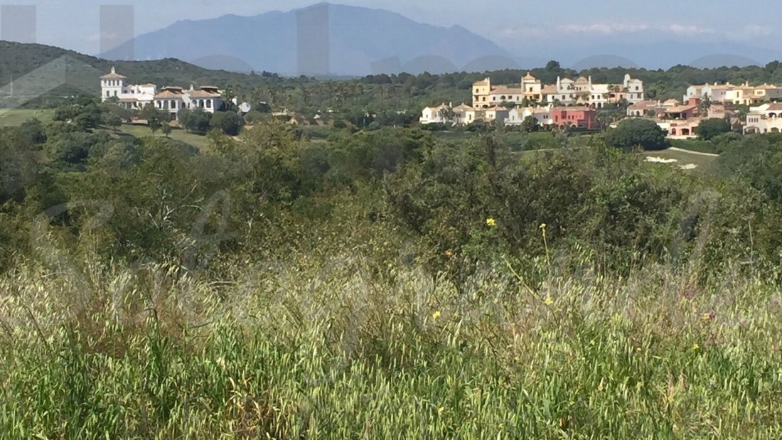 Land in Sotogrande, San Roque, Andalusia 4 - 17442608