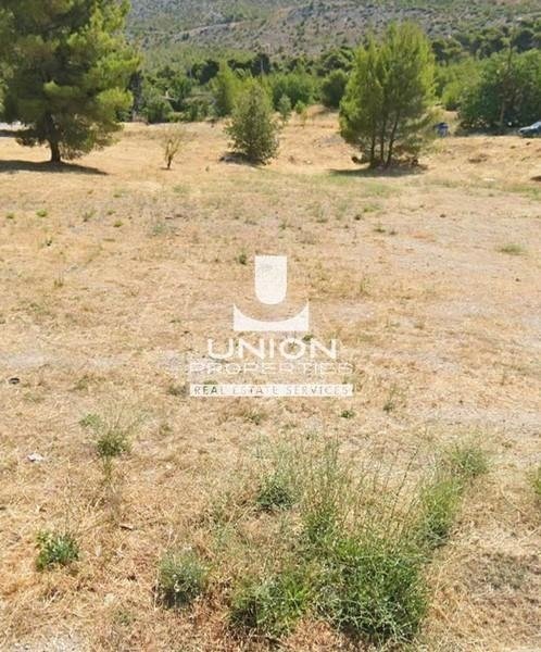 Land in Penteli, Attica, Greece 4 - 17447077
