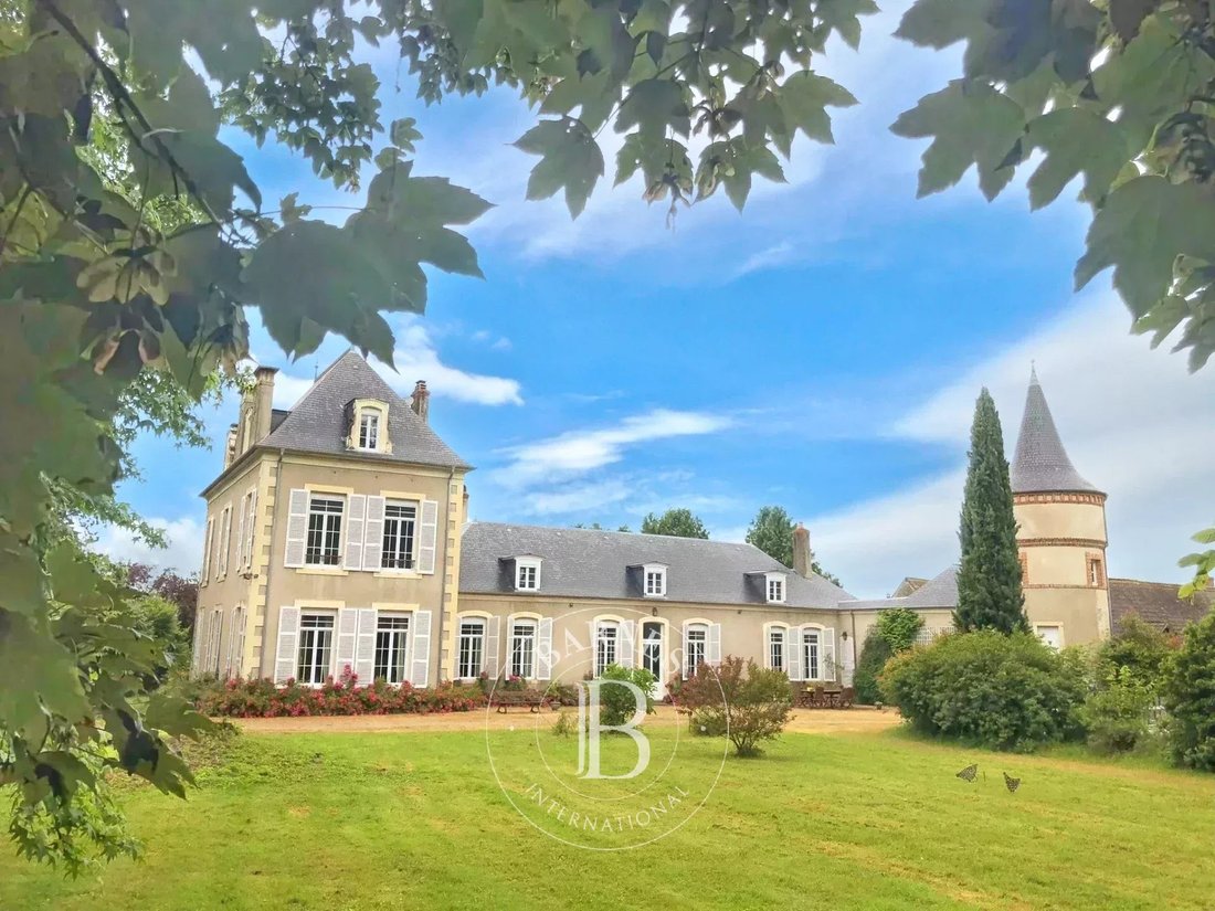 Castle in Sainte-Thorette, Centre-Val de Loire, France 1 - 14531672