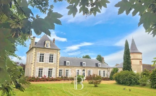 Schloss in Sainte-Thorette, Zentrum-Loiretal, Frankreich 1