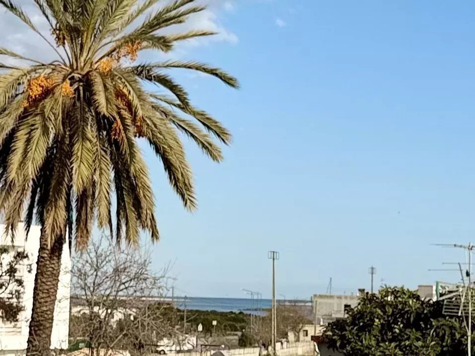 Villa in Moncarapacho, Algarve, Portugal 1 - 17445109