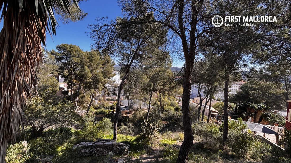 Land in Calvia, Balearic Islands, Spain 1 - 17445072