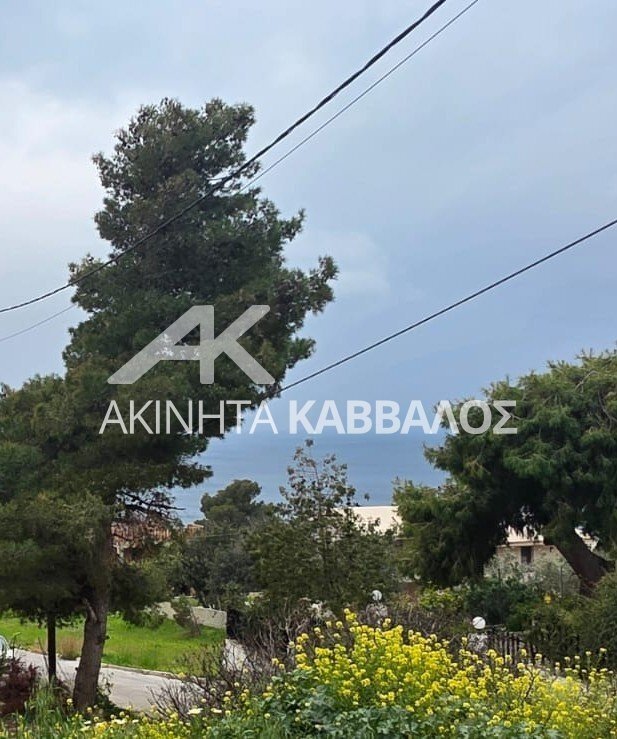 Land in Kropia, Attica, Greece 1 - 17446725
