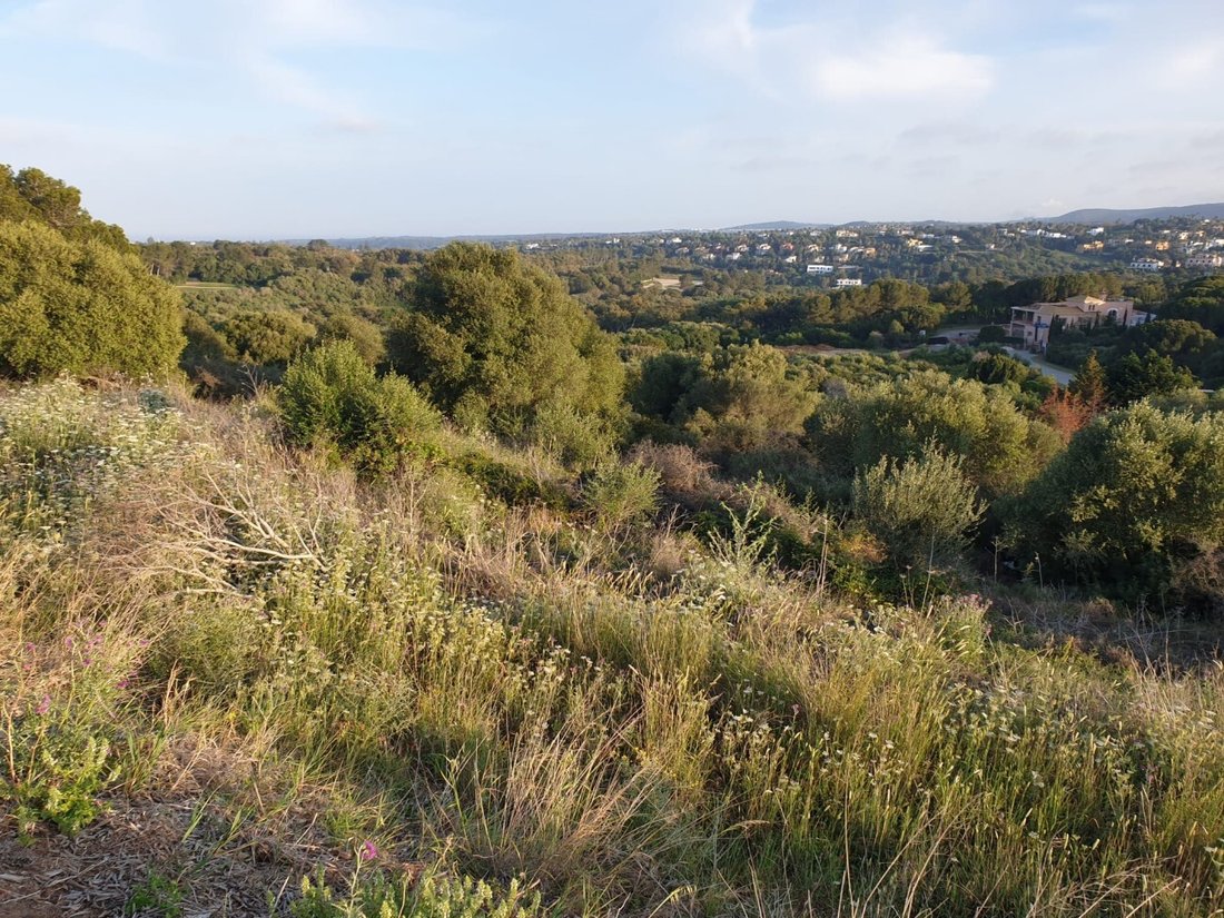 Land in Sotogrande, San Roque, Andalusia 5 - 17444041