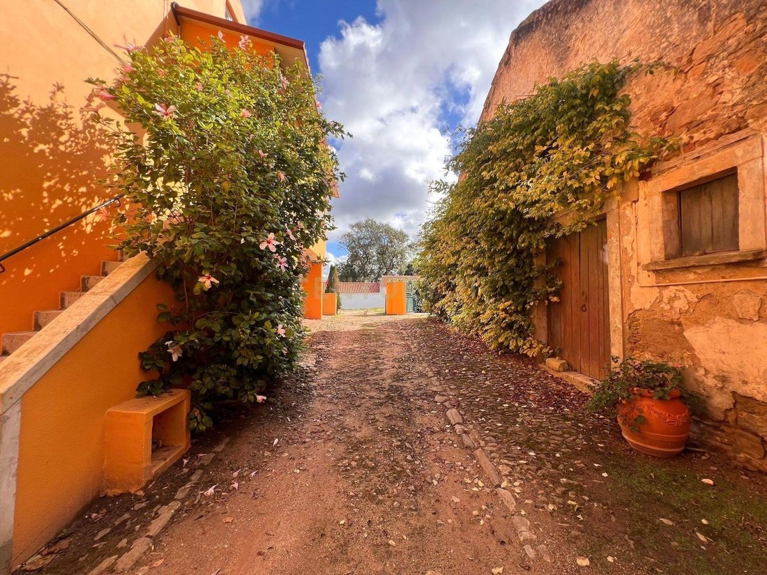 Villa in Evora de Alcobaca, Leiria District, Portugal 5 - 17447348