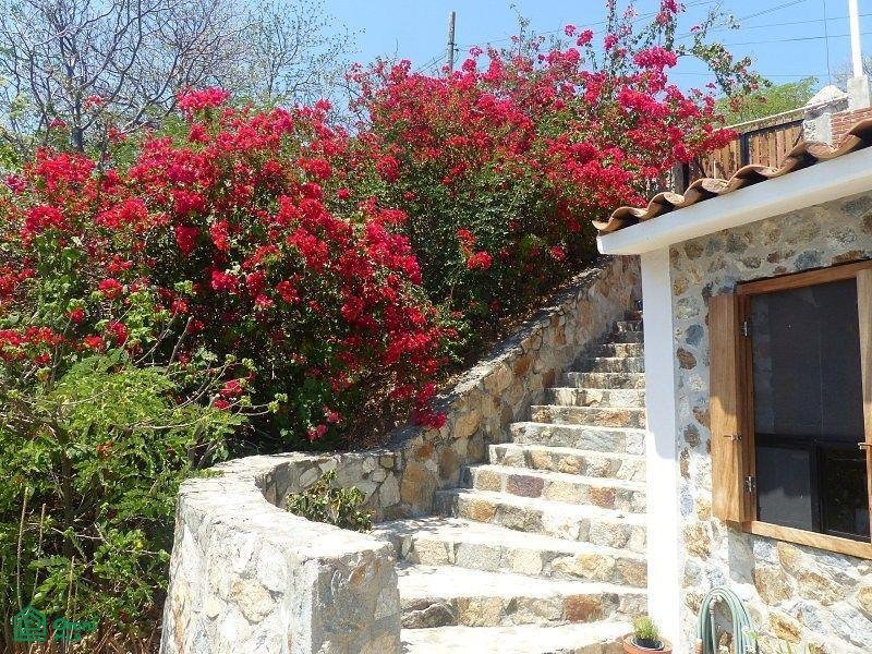 Villa in Puerto Ángel, Oaxaca, Mexico 5 - 17424688