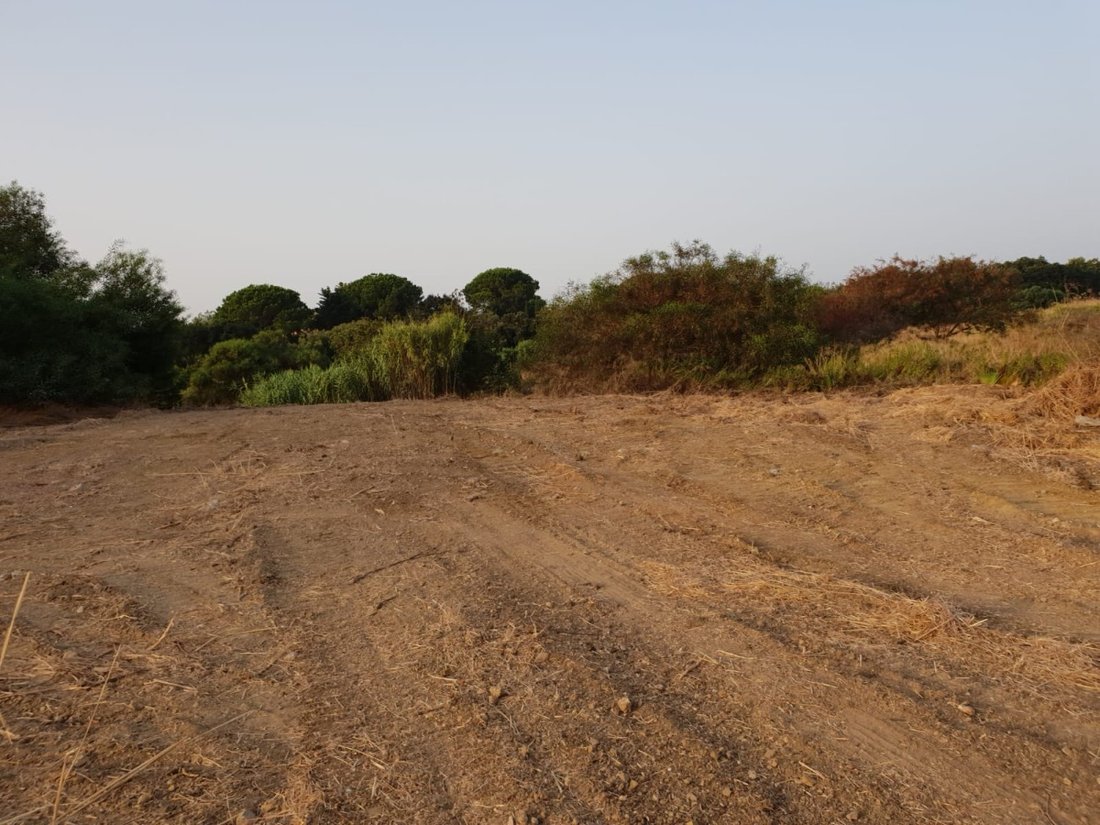 Land in Sotogrande, San Roque, Andalusia 4 - 17443818