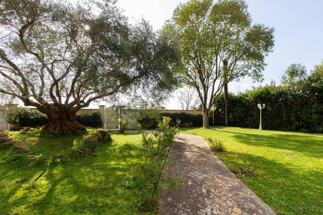 Villa in Asciano Pisano, San Giuliano Terme, Tuscany 5 - 17446687