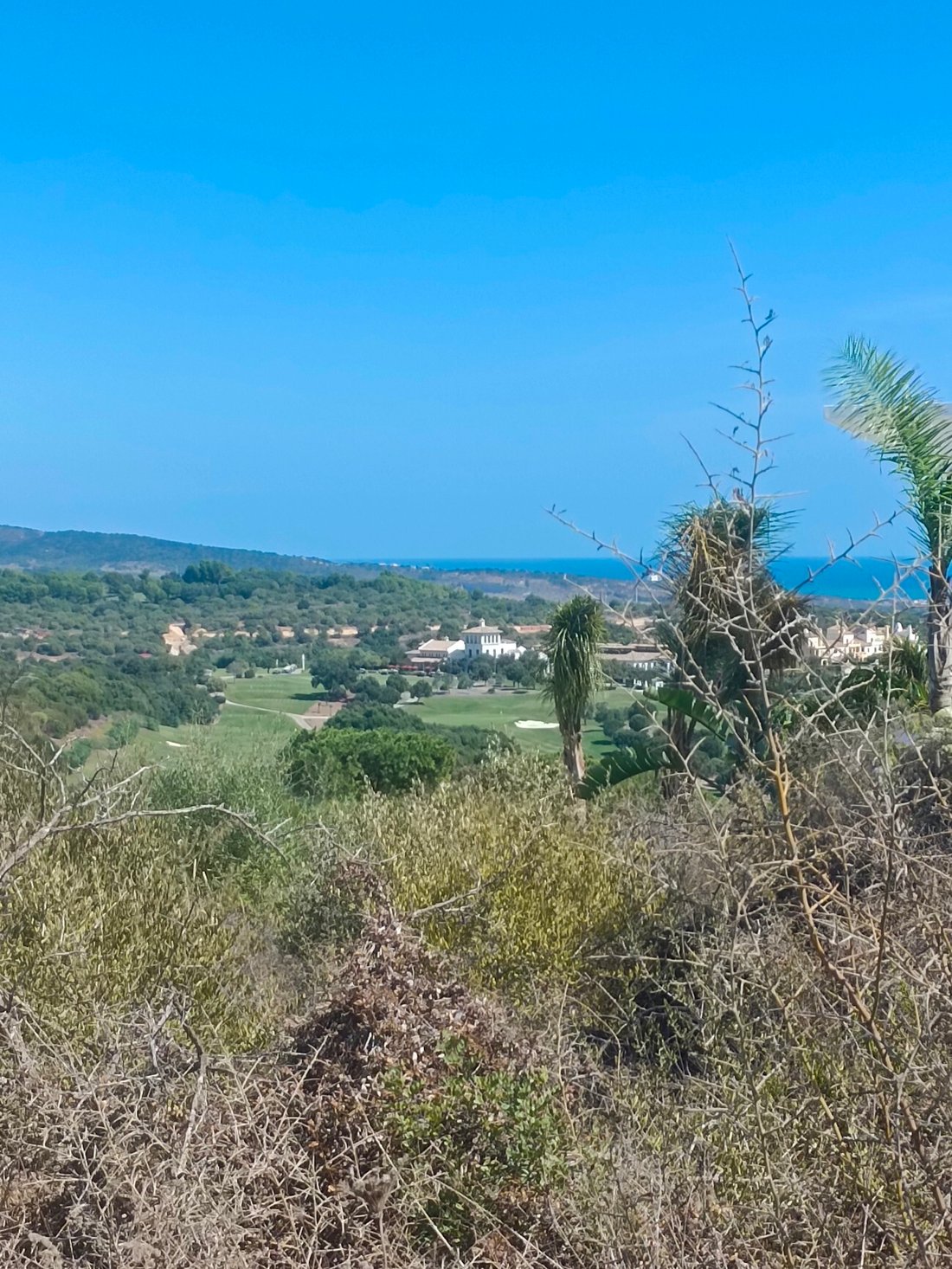 Land in Sotogrande, San Roque, Andalusia 2 - 17444142