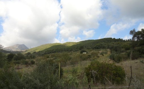 Finca in Gaucin, Andalusia, Spain 1