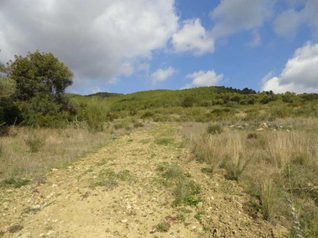 Finca in Gaucin, Andalusia, Spain 5 - 17444028