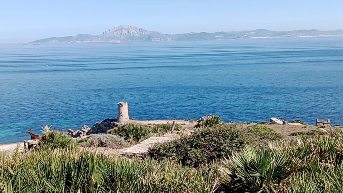 Finca in Tarifa, Andalusia, Spain 1 - 17443366