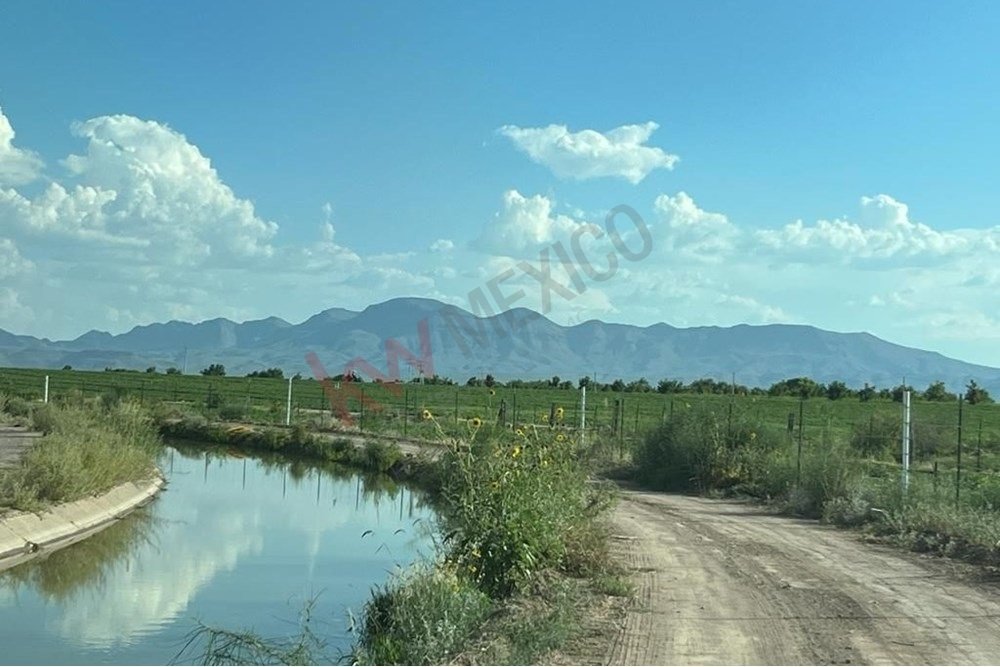 La Escuadra, Chihuahua, Mexico 1 - 17442944