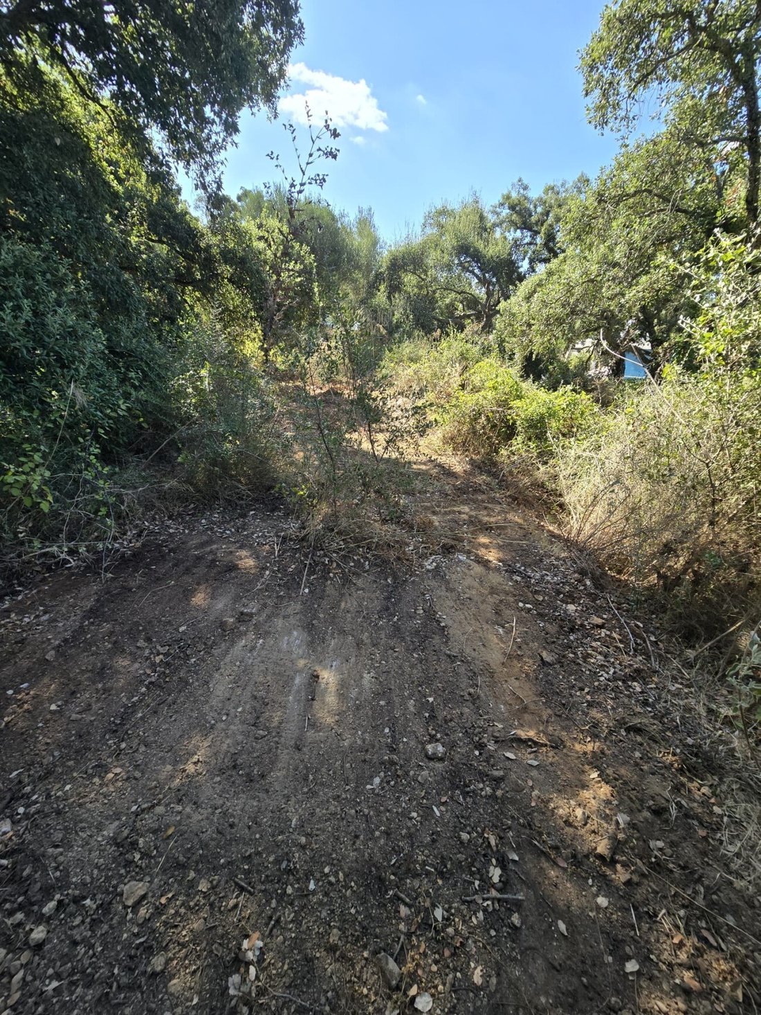 Land in Sotogrande, San Roque, Andalusia 2 - 17442596