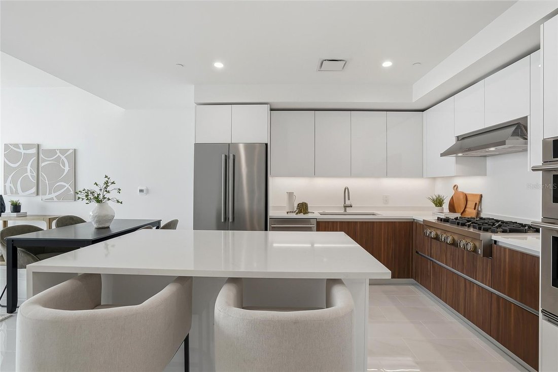 Condo in St. Petersburg, Florida, United States 5 - 17446072