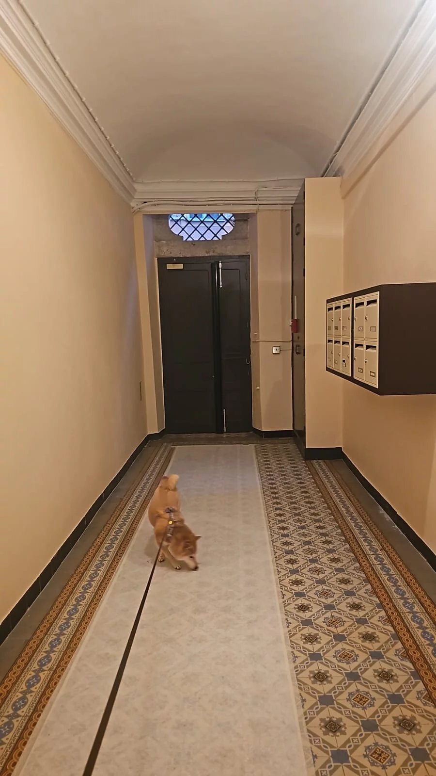 Apartment in Nice, Provence-Alpes-Côte d'Azur, France 3 - 17444213