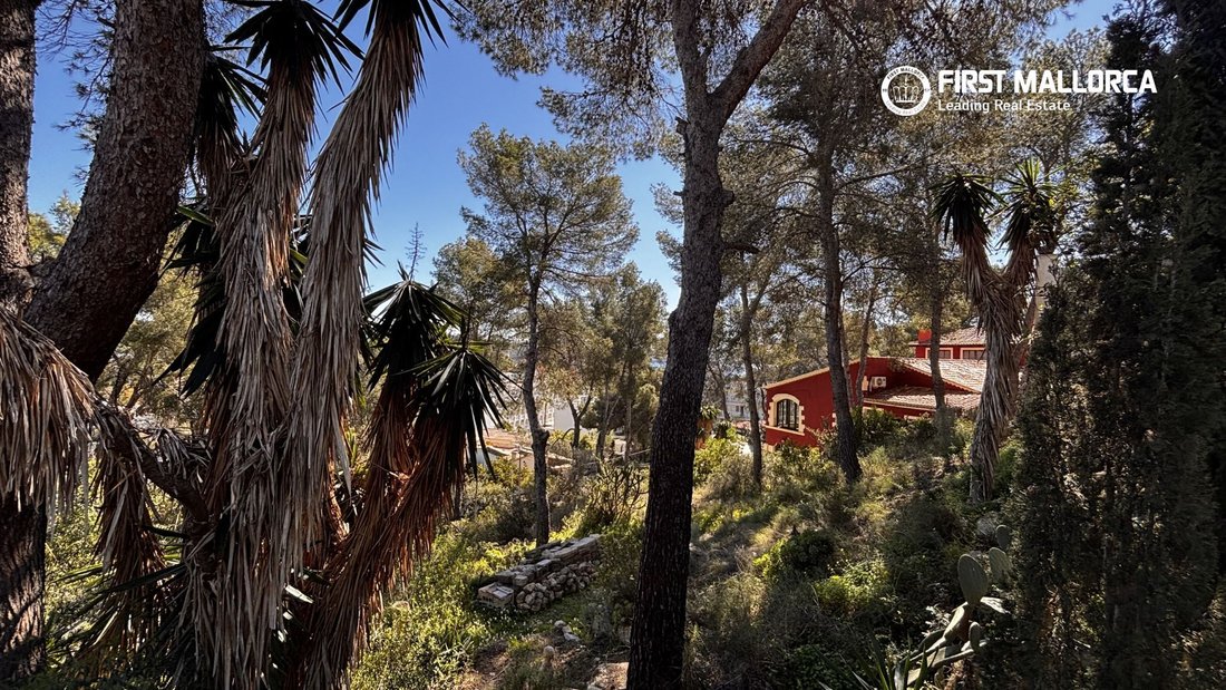 Land in Calvia, Balearic Islands, Spain 2 - 17445072