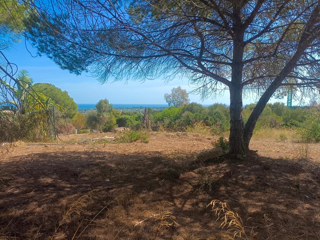 Land in Sotogrande, San Roque, Andalusia 1 - 17444142