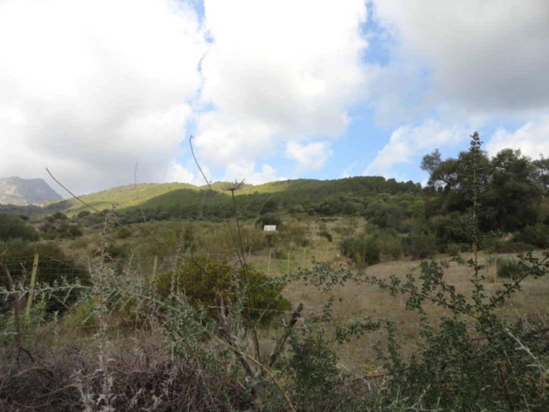 Finca in Gaucin, Andalusia, Spain 3 - 17444028