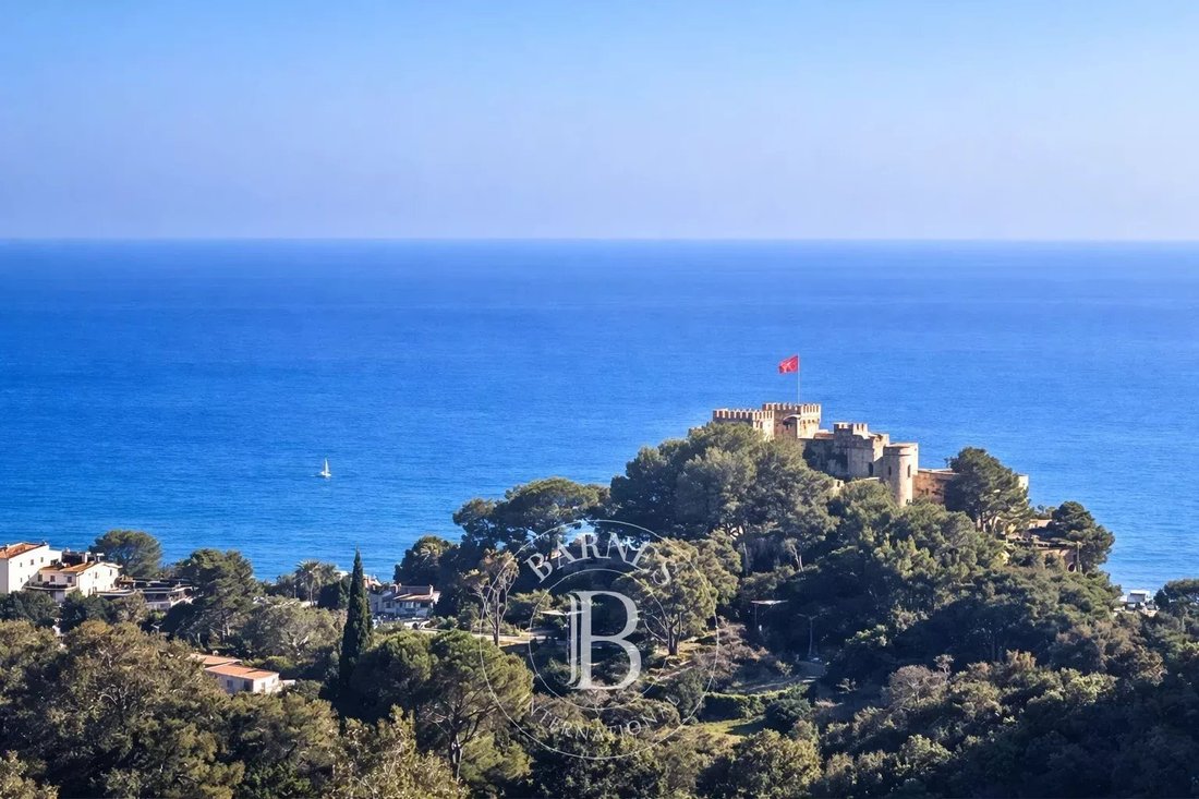 Land in Villefranche-sur-Mer, Provence-Alpes-Côte d'Azur, France 3 - 17444505