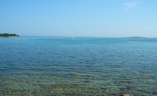 Villa in Velo Grablje, Split-Dalmatia County, Croatia 1
