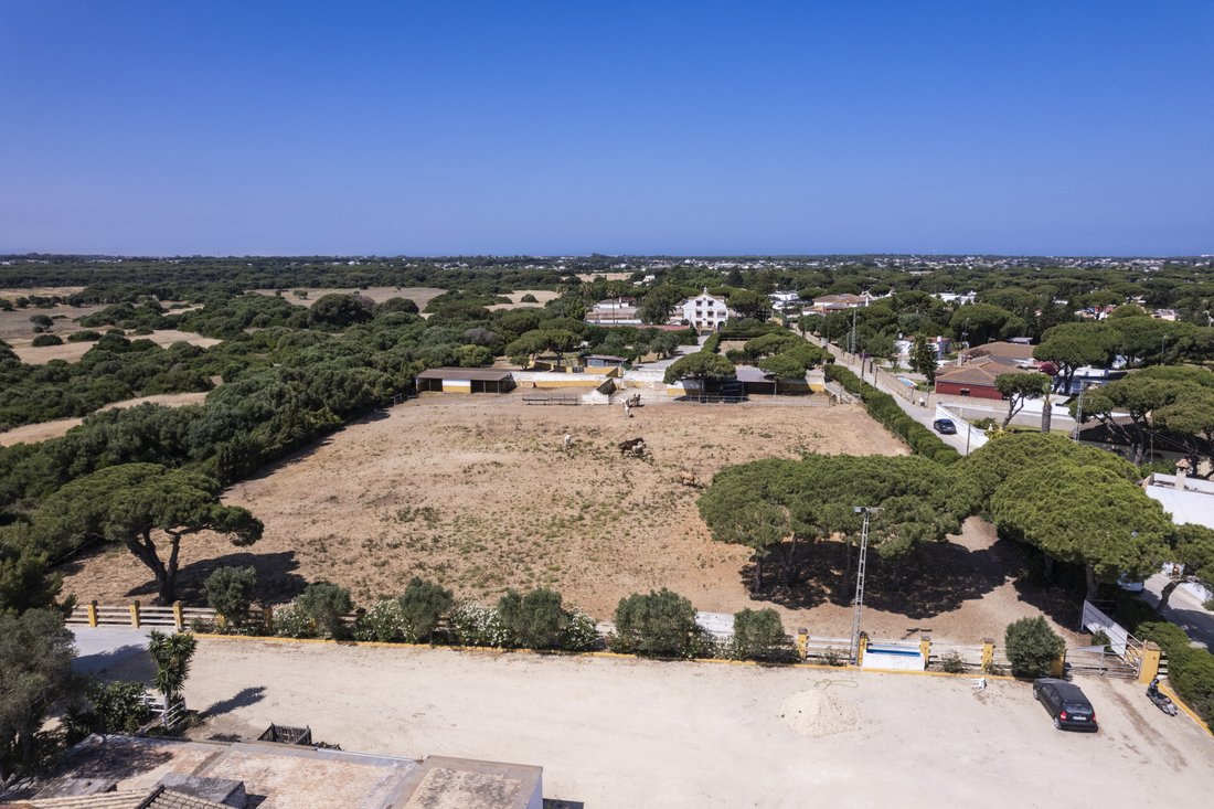 Finca in Chiclana de la Frontera, Andalusia, Spain 5 - 17443359