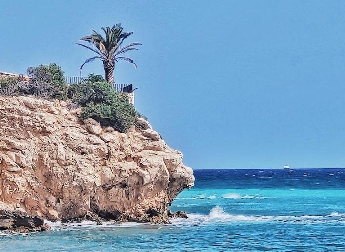 Land in el Campello, Valencian Community, Spain 3 - 17442381