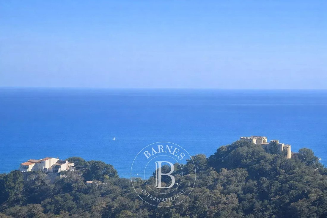 Land in Villefranche-sur-Mer, Provence-Alpes-Côte d'Azur, France 5 - 17444505