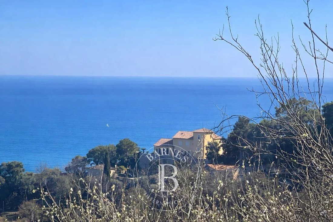 Land in Villefranche-sur-Mer, Provence-Alpes-Côte d'Azur, France 4 - 17444505