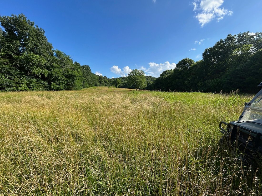 Land in Christiana, Tennessee, United States 5 - 17447942