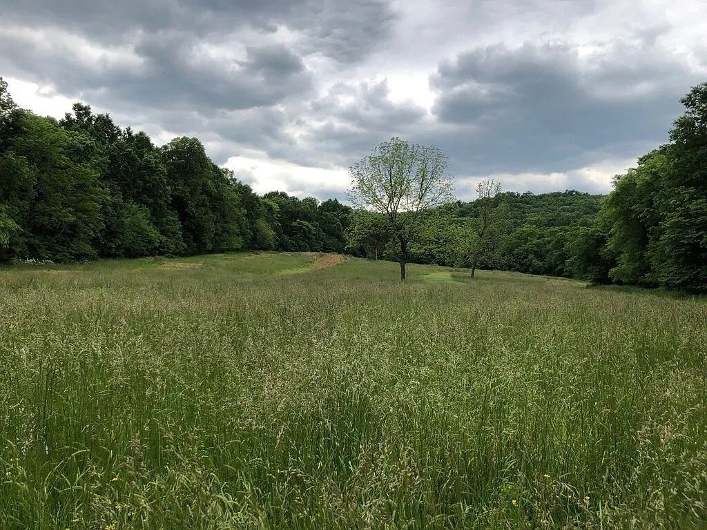 Land in Christiana, Tennessee, United States 4 - 17447942
