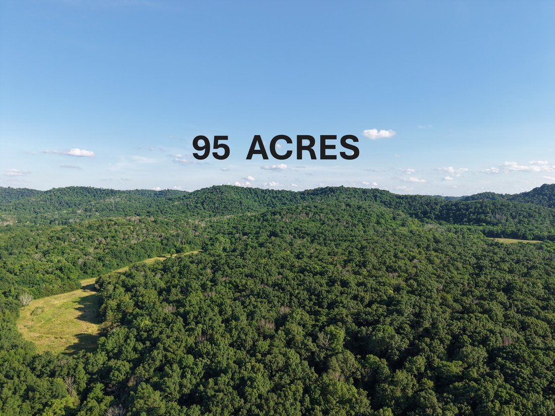 Land in Christiana, Tennessee, United States 1 - 17447942