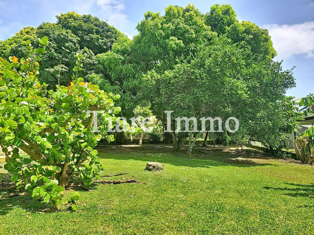 House in Moorea-Maiao, Windward Islands, French Polynesia 3 - 17448283