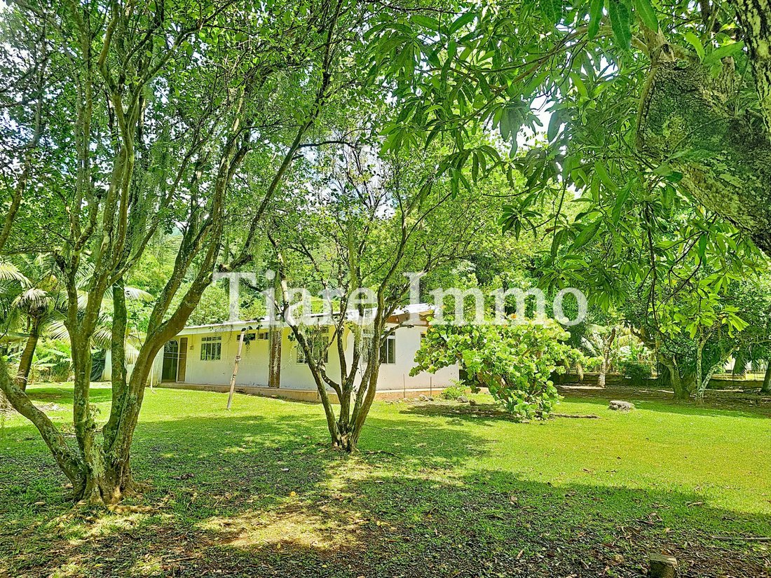 House in Moorea-Maiao, Windward Islands, French Polynesia 2 - 17448283