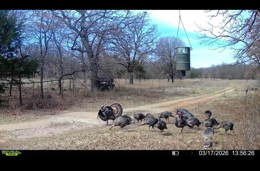 Land in Ralston, Oklahoma, United States 2 - 17448668