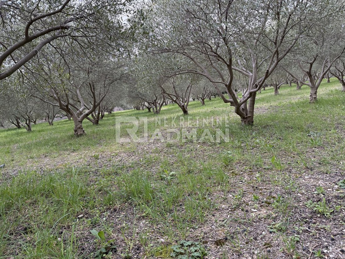Land in Kastel Novi, Split-Dalmatia County, Croatia 3 - 17449084