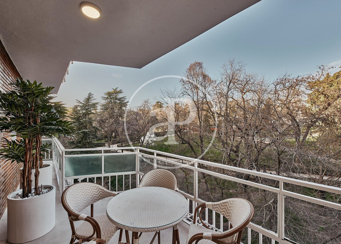 Apartment in Retiro, Madrid, Spain 4 - 16471816