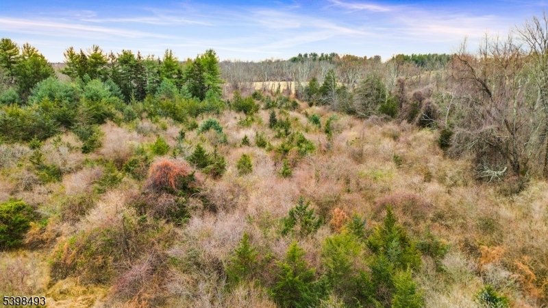 Land in Readington Twp., New Jersey, United States 4 - 17449516