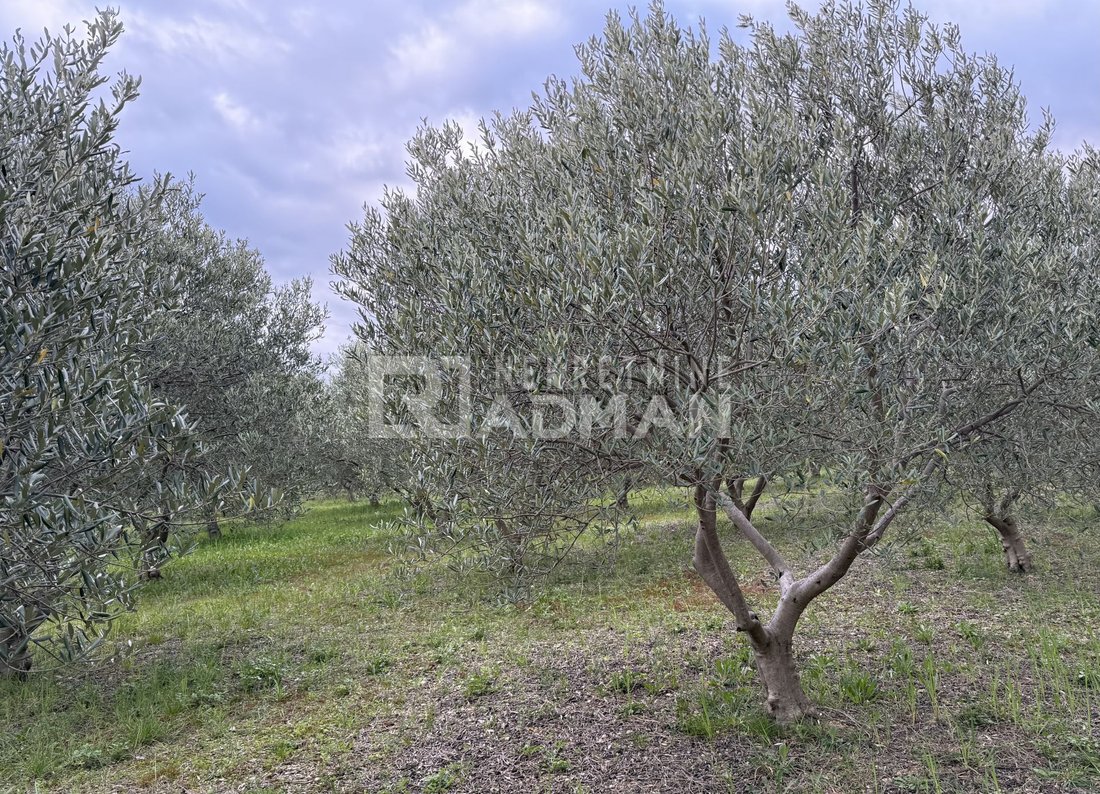 Land in Kastel Novi, Split-Dalmatia County, Croatia 5 - 17449084