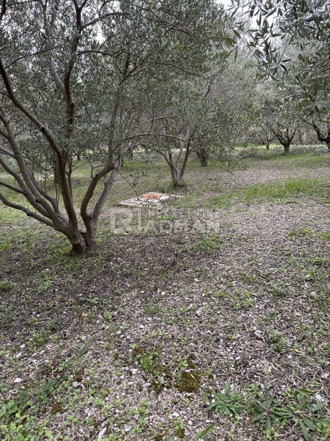 Land in Kastel Novi, Split-Dalmatia County, Croatia 2 - 17449084